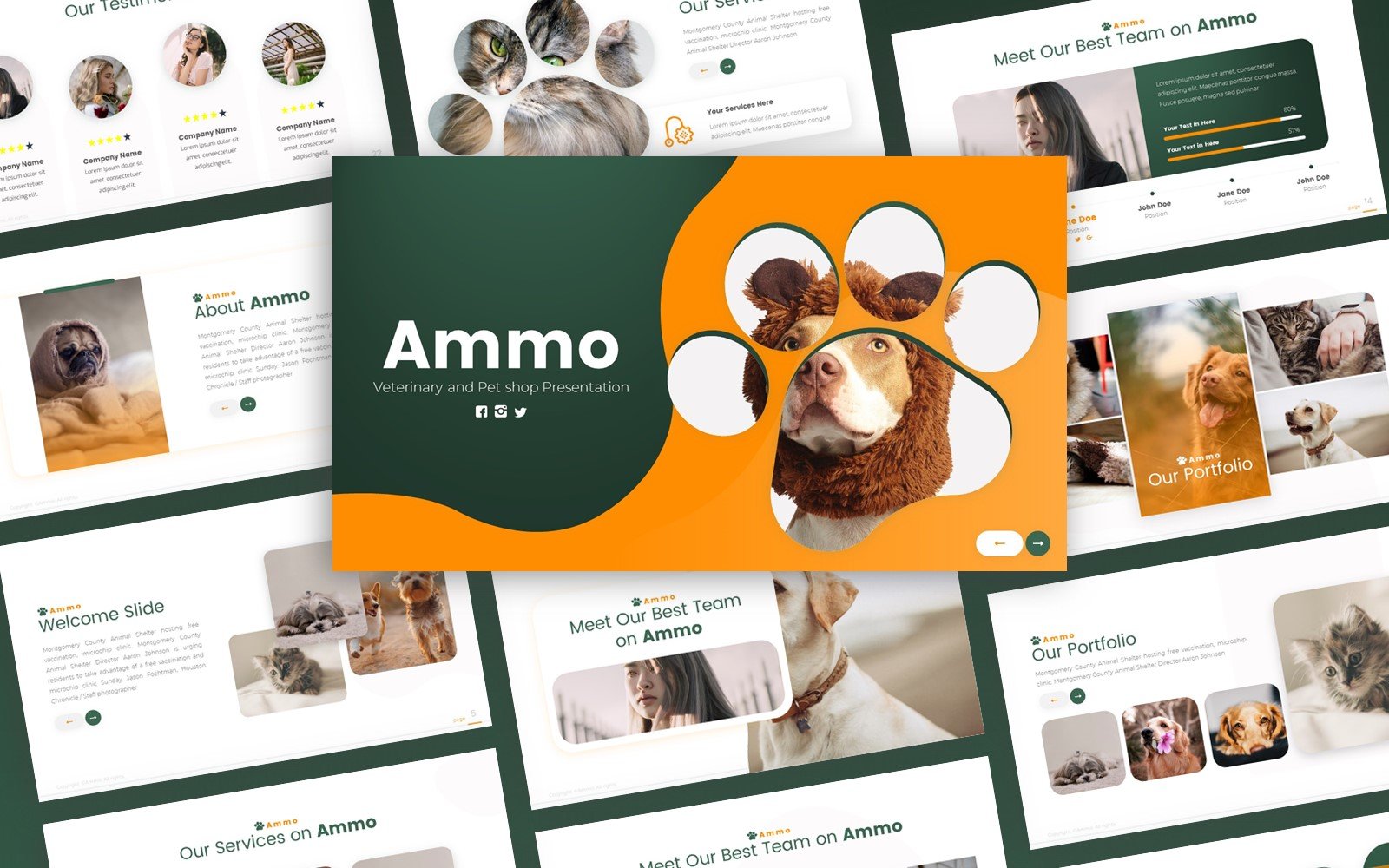 Ammo - Veterinary and Pet Shop PowerPoint Template
