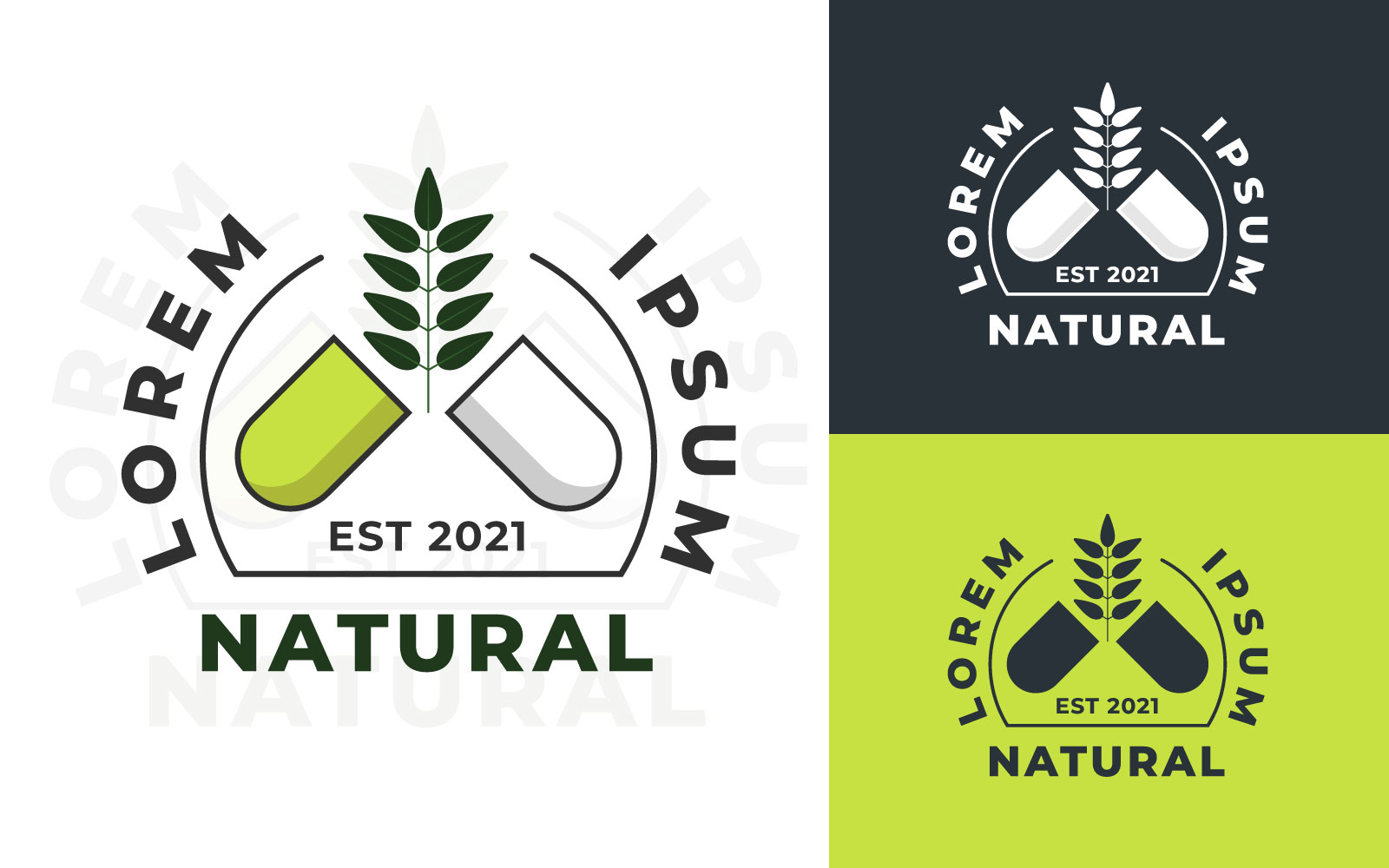 Herbal Capsule Logo- Logo Template