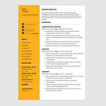 Curriculum Vitae Resume Templates 195256