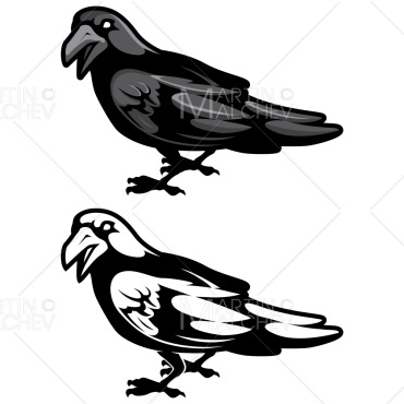 Raven Bird Illustrations Templates 198358