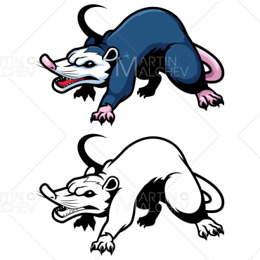 Possum Mascot Illustrations Templates 198909