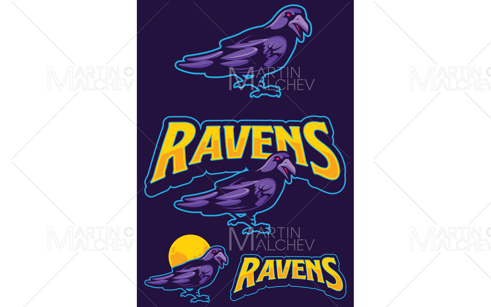 Ravens Team Mascot Vector Illustration