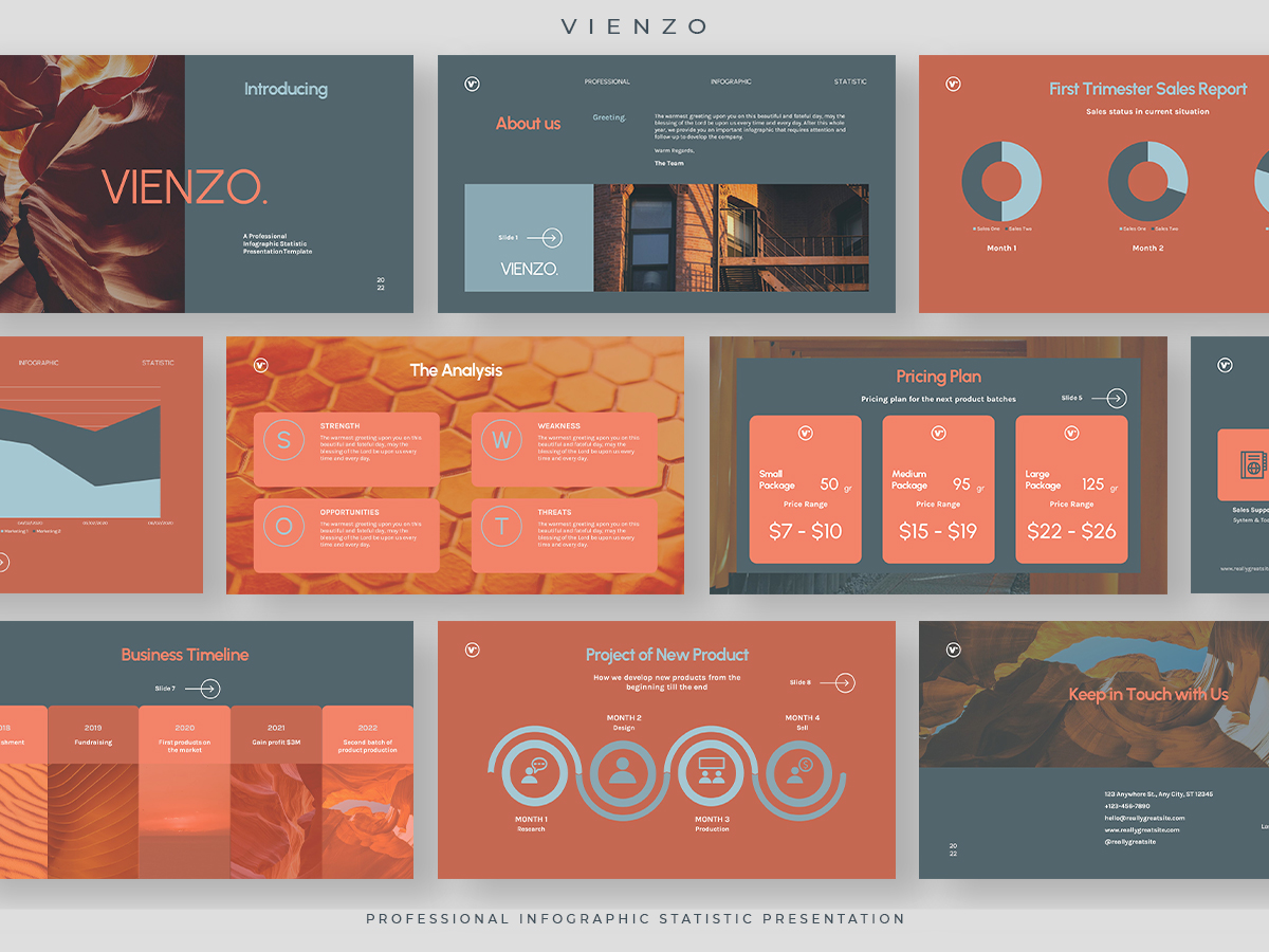 Vienzo - Professional Infographic Statistic Presentation