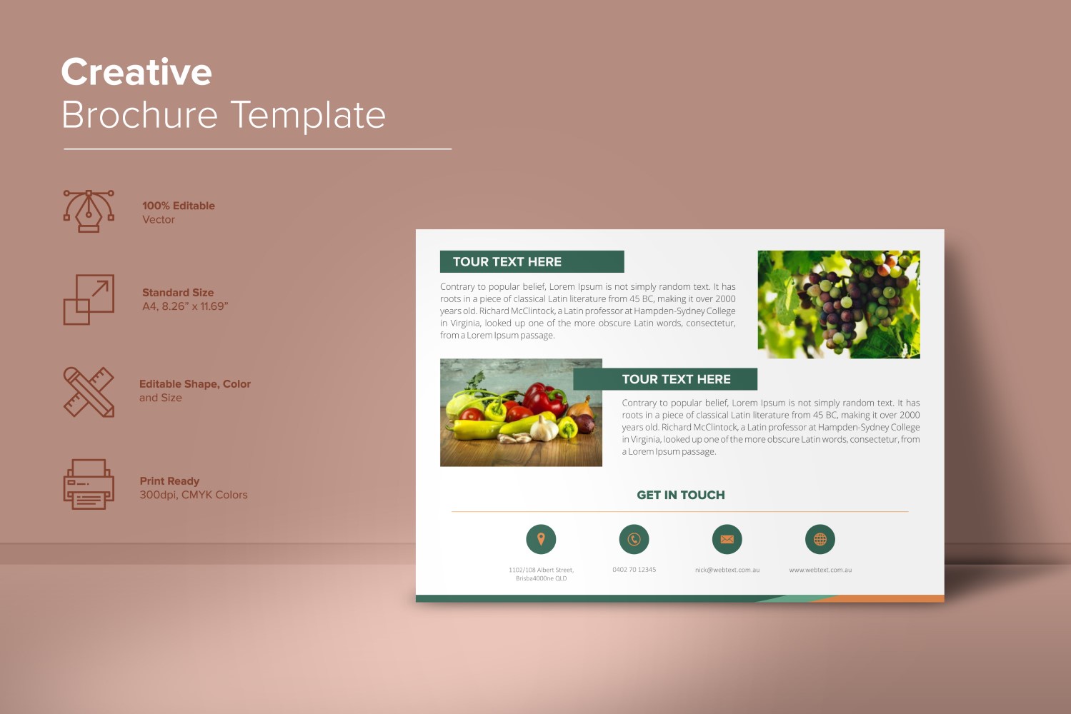 Food Corporate Brochure Design Template