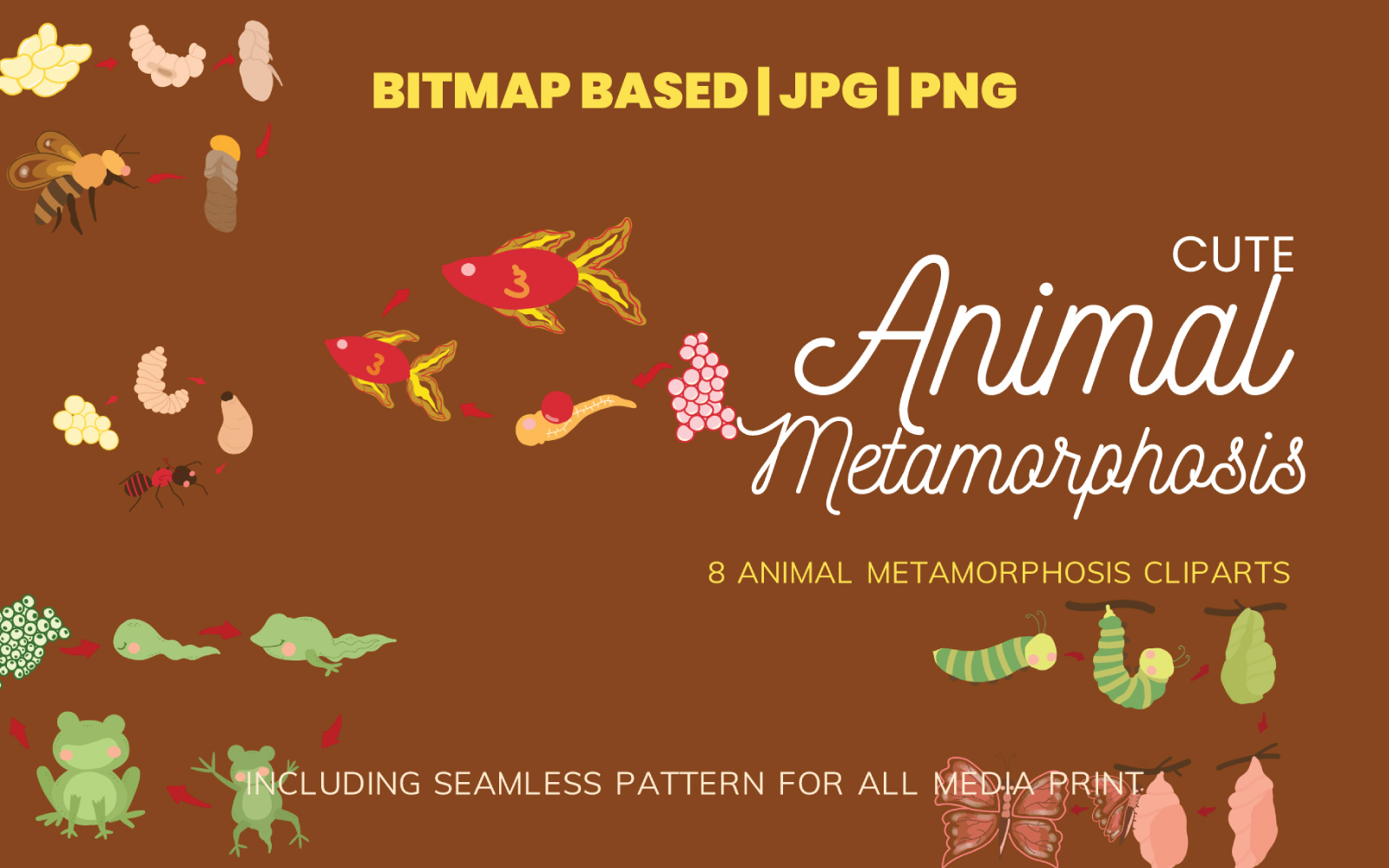 Metamorphosis 8 Clipart Illustration Plus Seamless Pattern