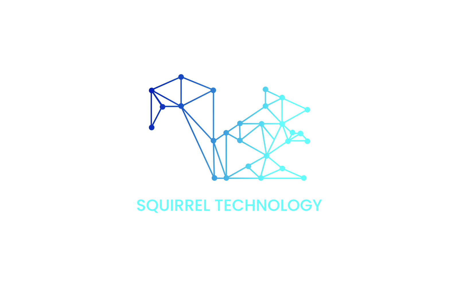 Squirrel Technology Logo Template