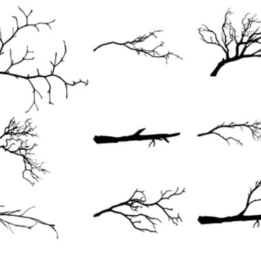 <a class=ContentLinkGreen href=></a></font> branch nature 203039