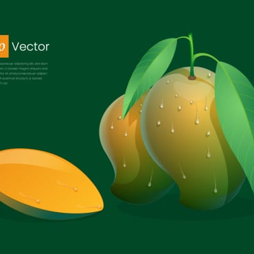 Slice Natural Illustrations Templates 203285