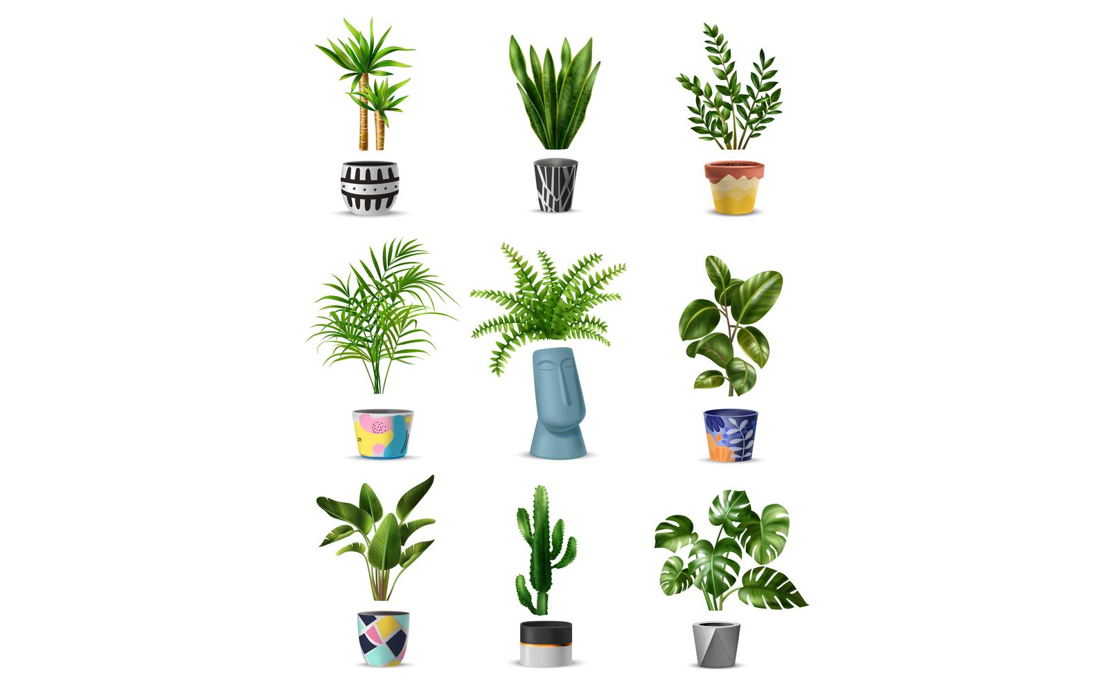 Realistic Green Home Plant  Big Set Vector Illustration Concept