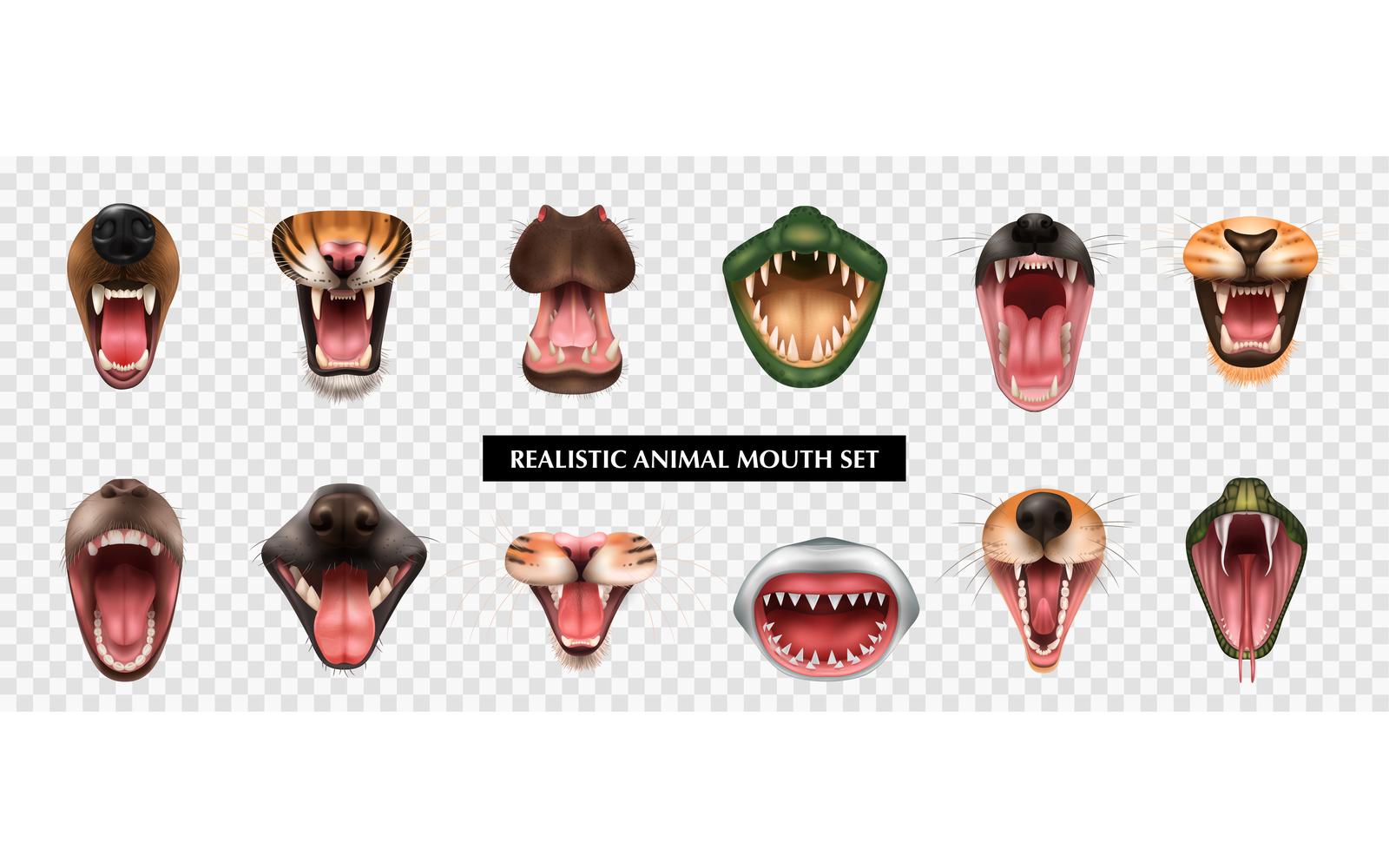 Realistic Animal Mouth Transparent Set Vector Illustration Concept