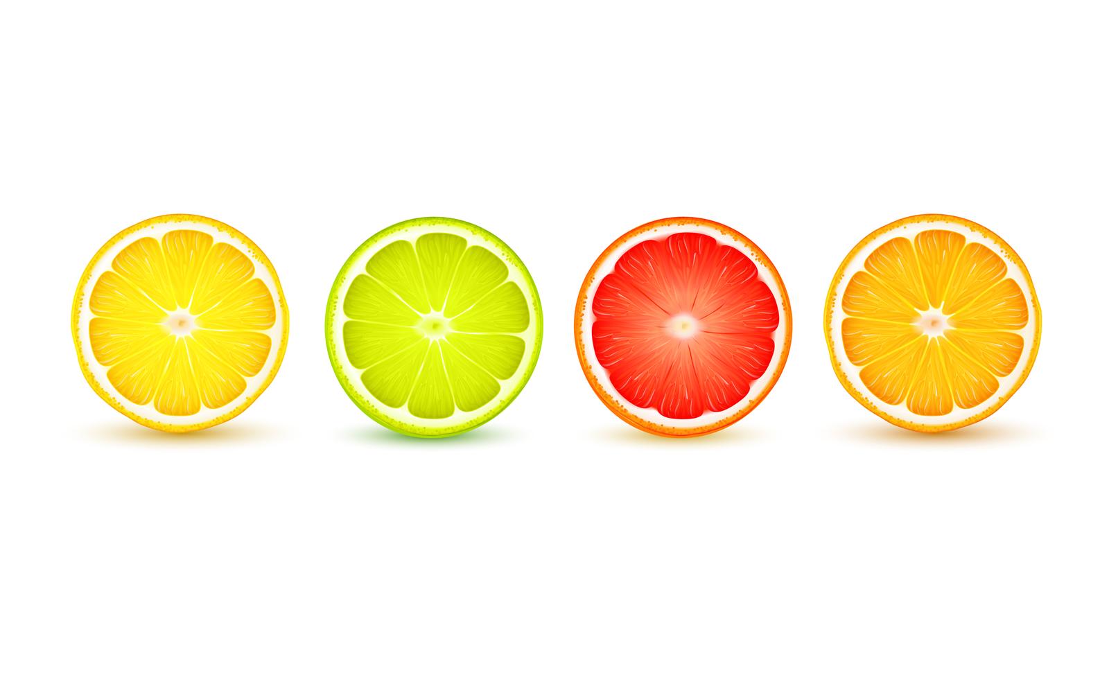 Citrus Slice Realistic Set Vector Illustration Concept