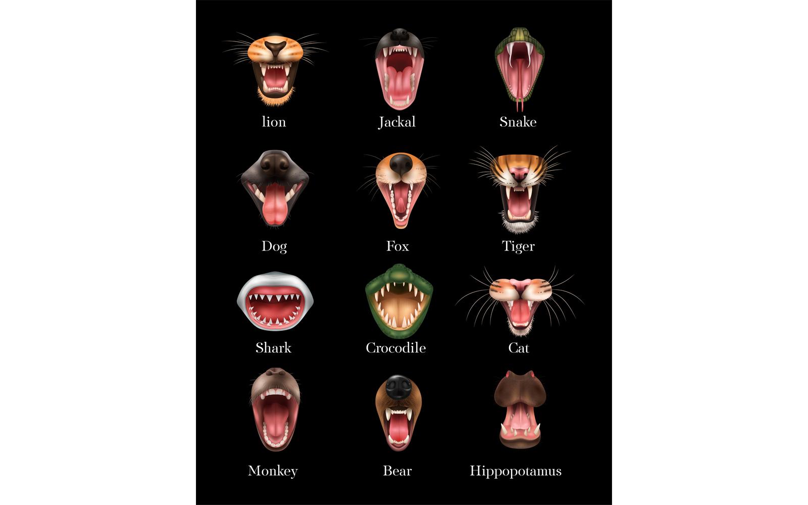 Realistic Animal Mouth Vector Illustration Concept