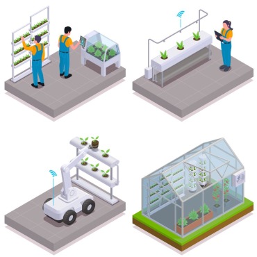 Greenhouse Modern Illustrations Templates 203569