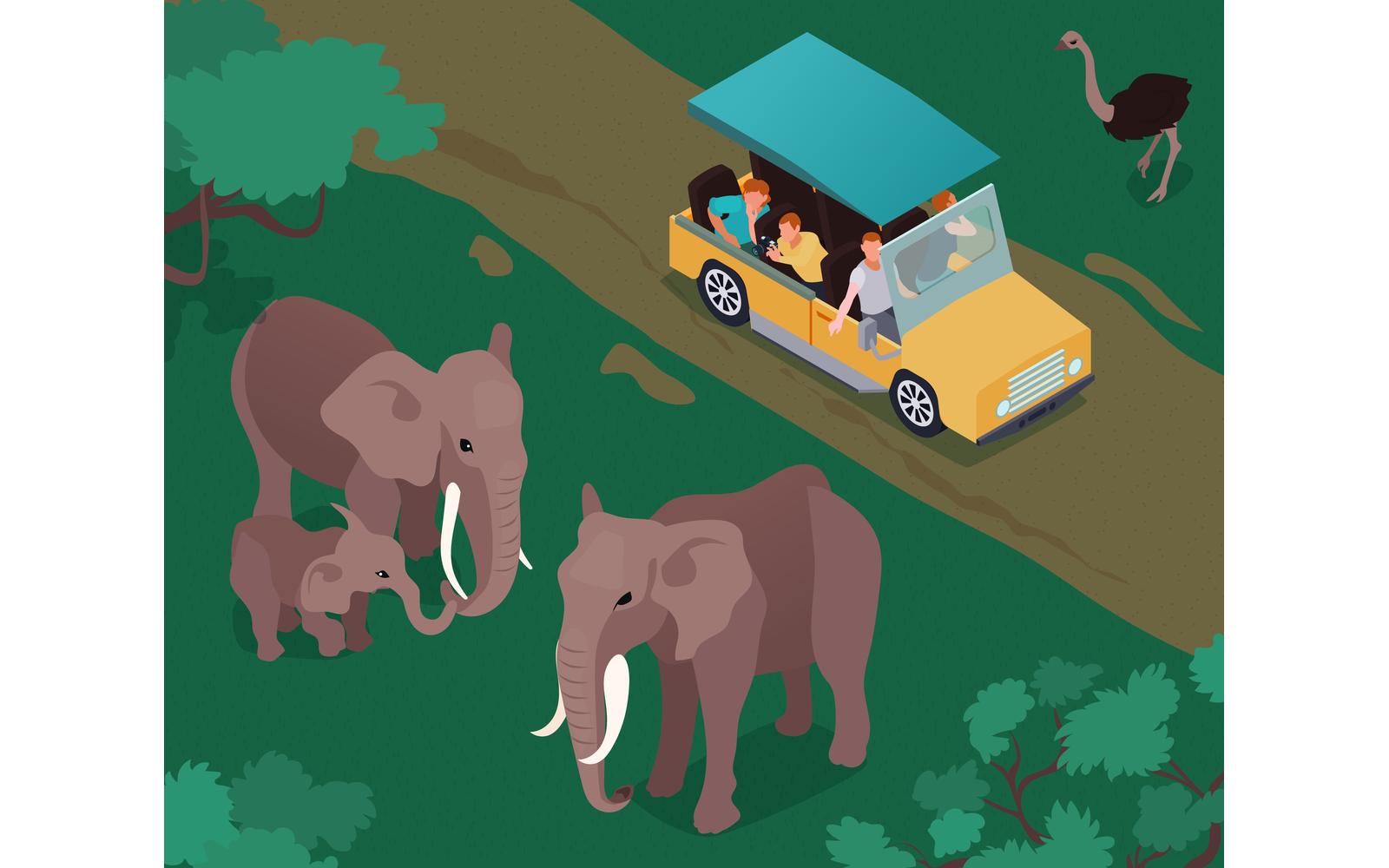 Isometric Safari Illustration Vector Illustration Concept