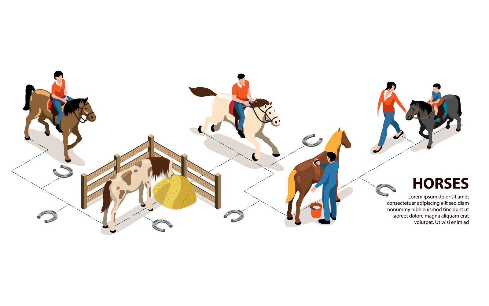 Isometric Horse Hippotherapy Infographics Vector Illustration Concept