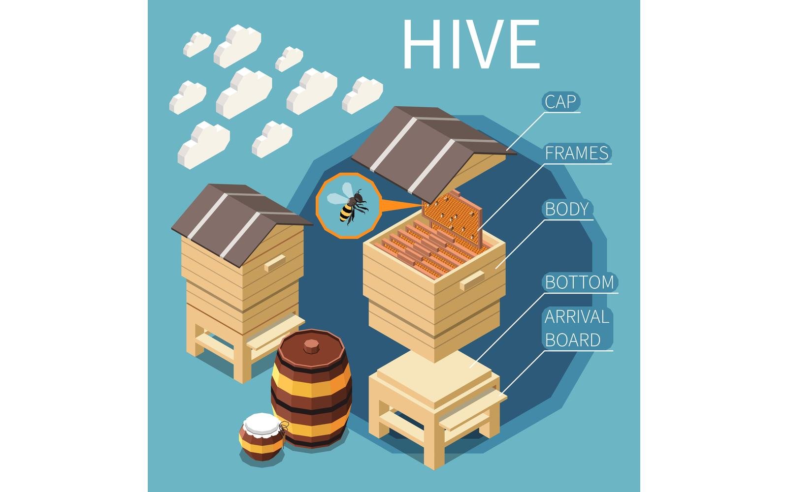 Apiary Honey Production Isometric 5 Vector Illustration Concept