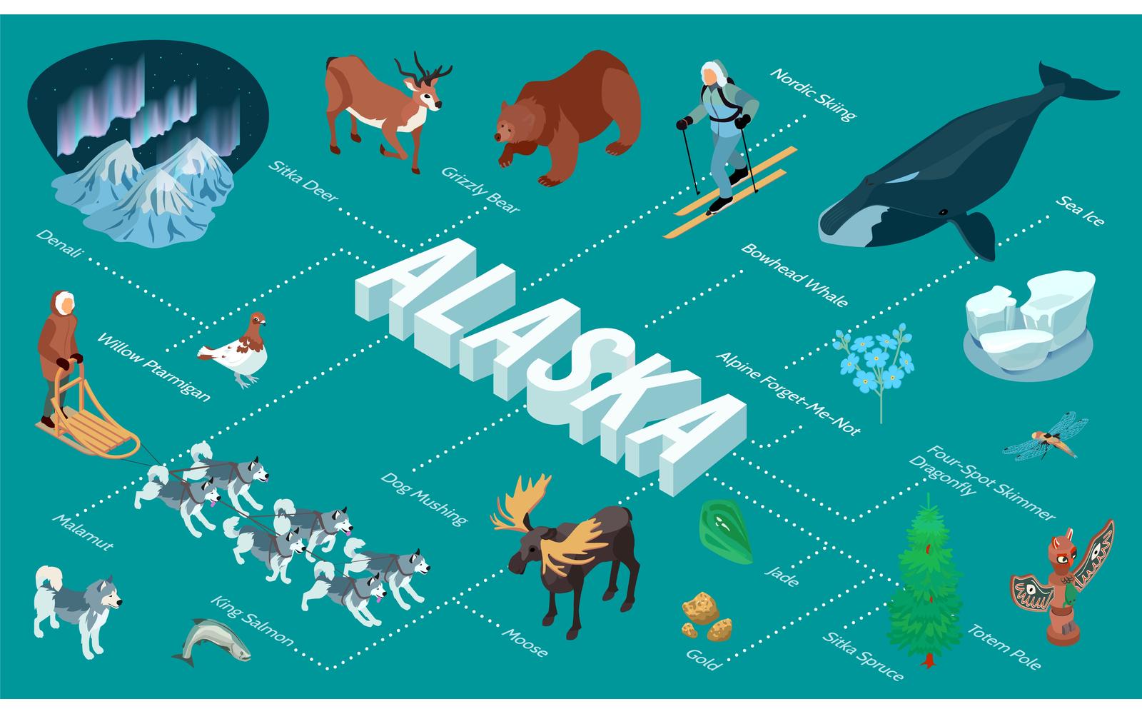 Isometric Alaska Flowchart Vector Illustration Concept