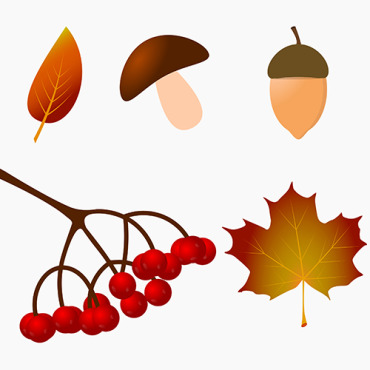 Setleaffoodautumnvectornaturemushroomtreeillustrationberryredacornseasonplantheartorangedesignartsetcolor   204195