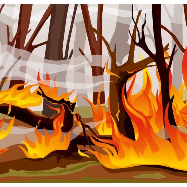 Fire Flame Illustrations Templates 204229