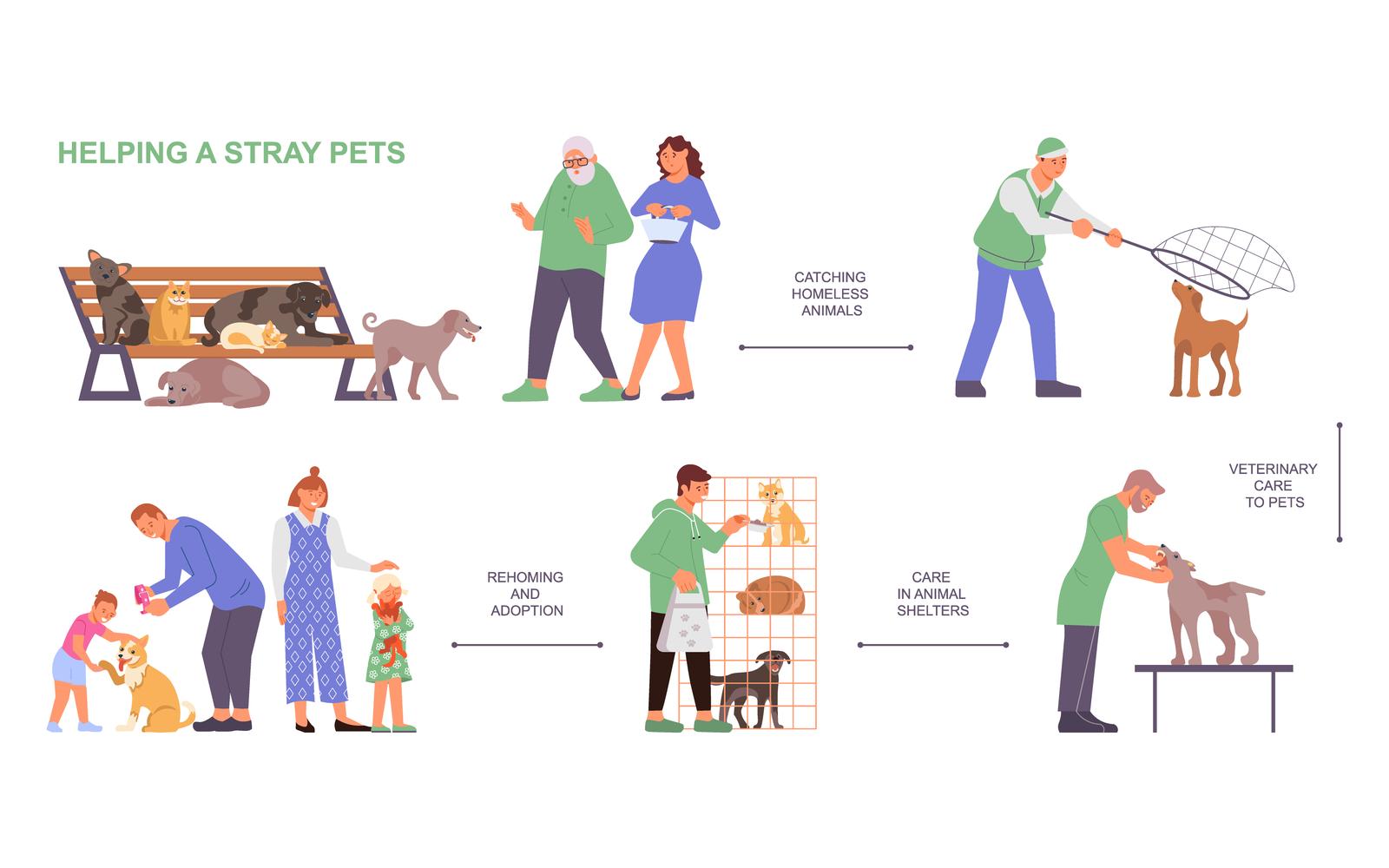 Veterinary Clinic Flowchart Flat Vector Illustration Concept