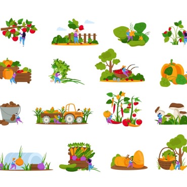 Food Leaf Illustrations Templates 204536