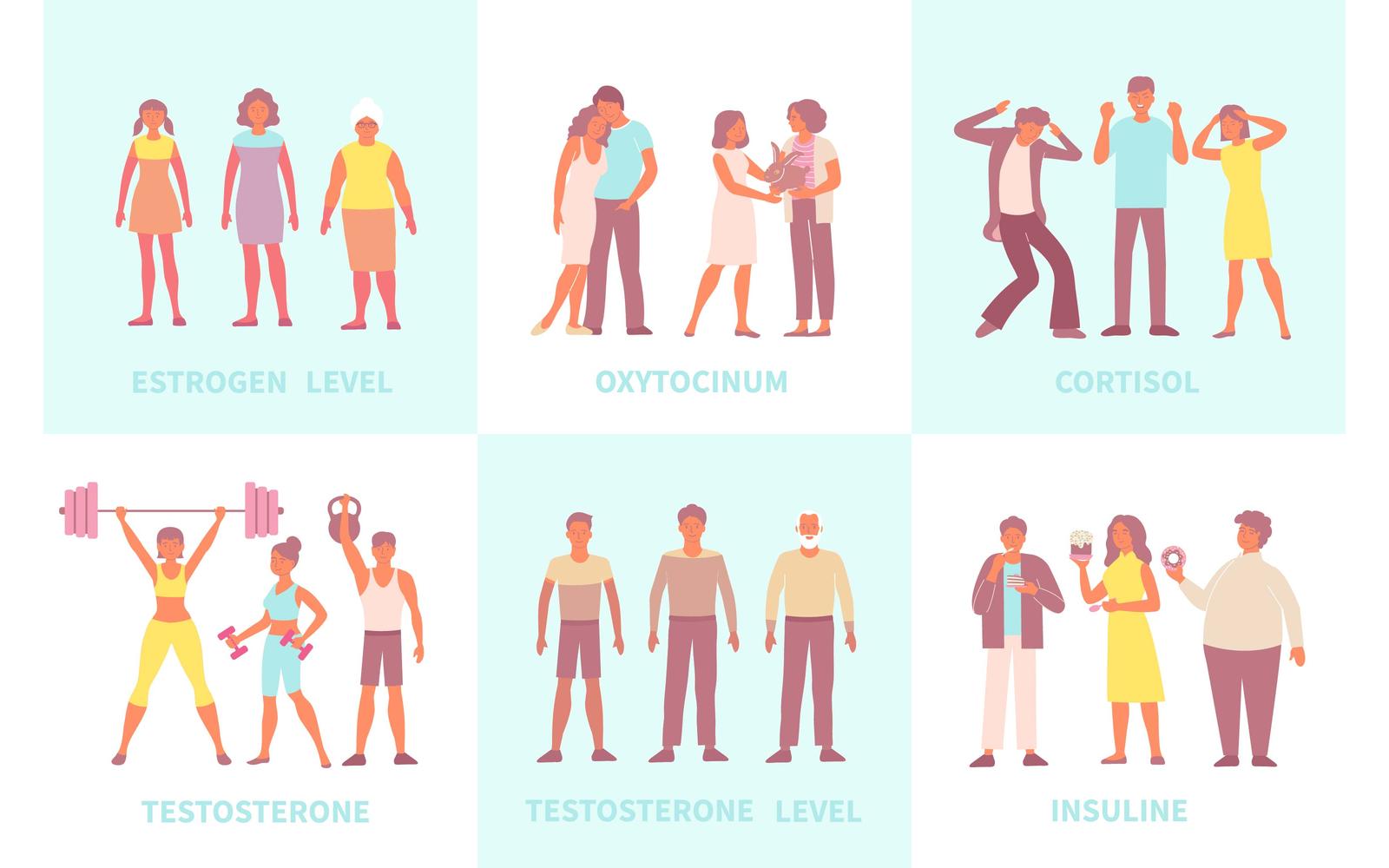 Hormones Composition Set Flat 2 Vector Illustration Concept