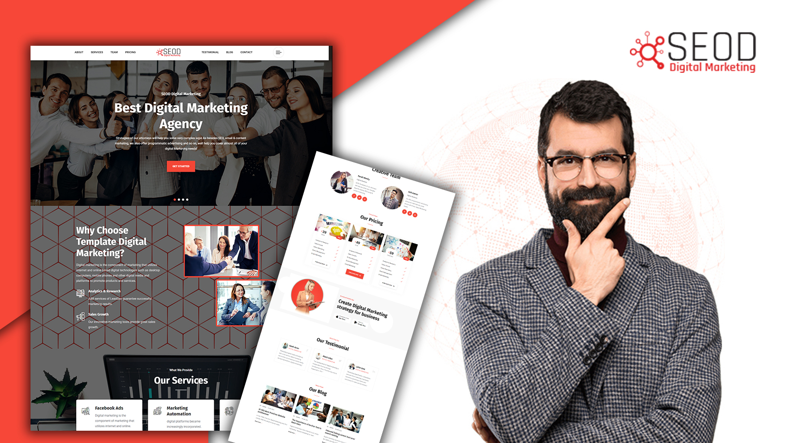 WordPress Themes