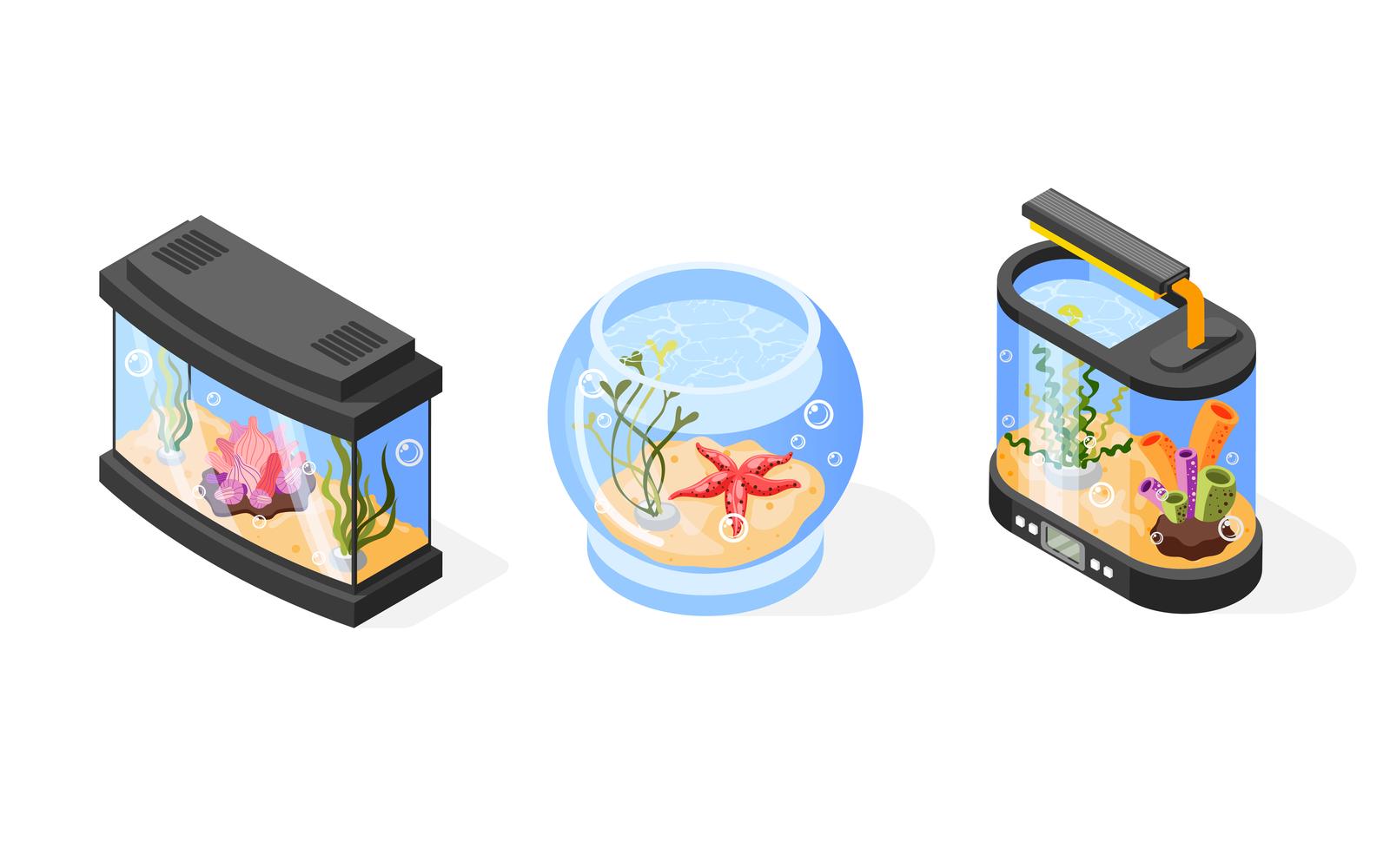 Aquarium Isometric Background Vector Illustration Concept