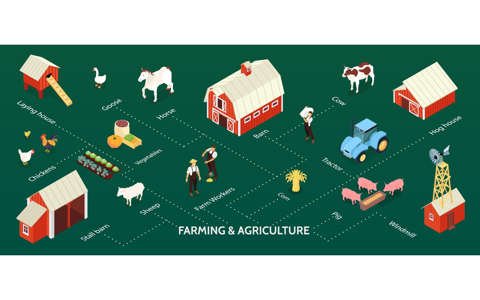 Isometric Farm Infographics Vector Illustration Concept