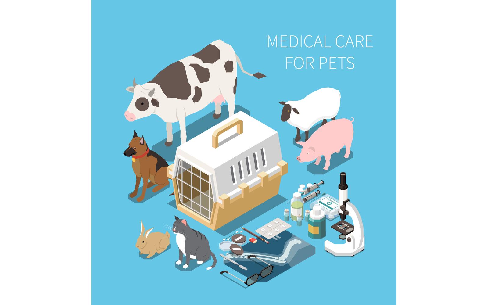 Veterinary Clinic Veterinarian Isometric 6 Vector Illustration Concept