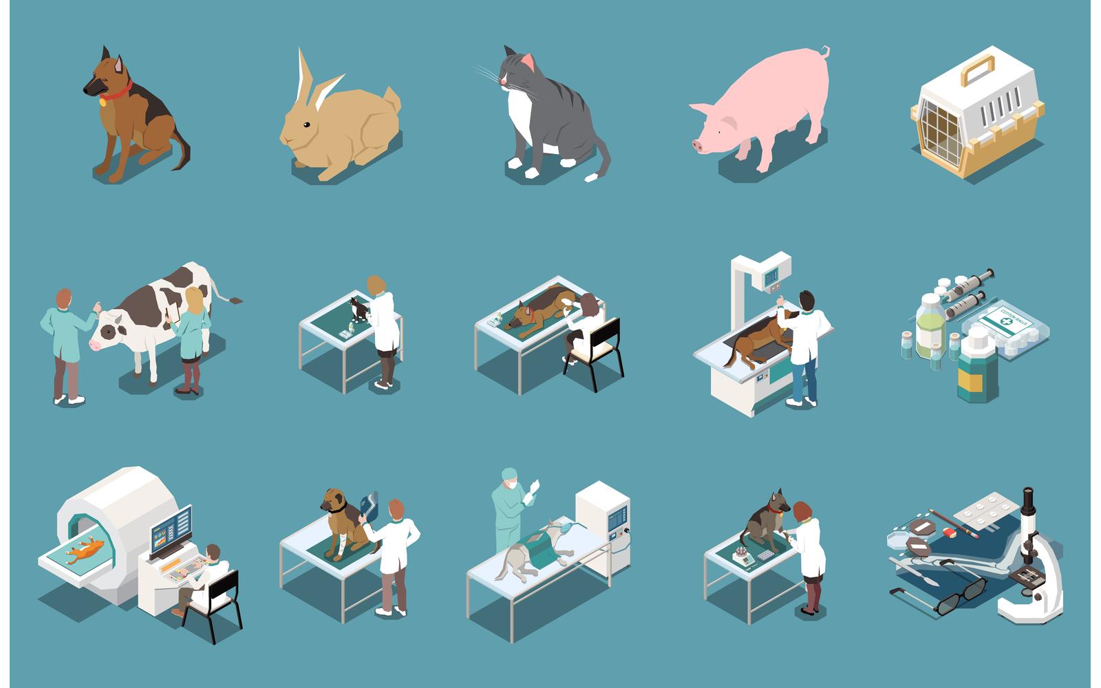 Veterinary Clinic Veterinarian Isometric Set Vector Illustration Concept