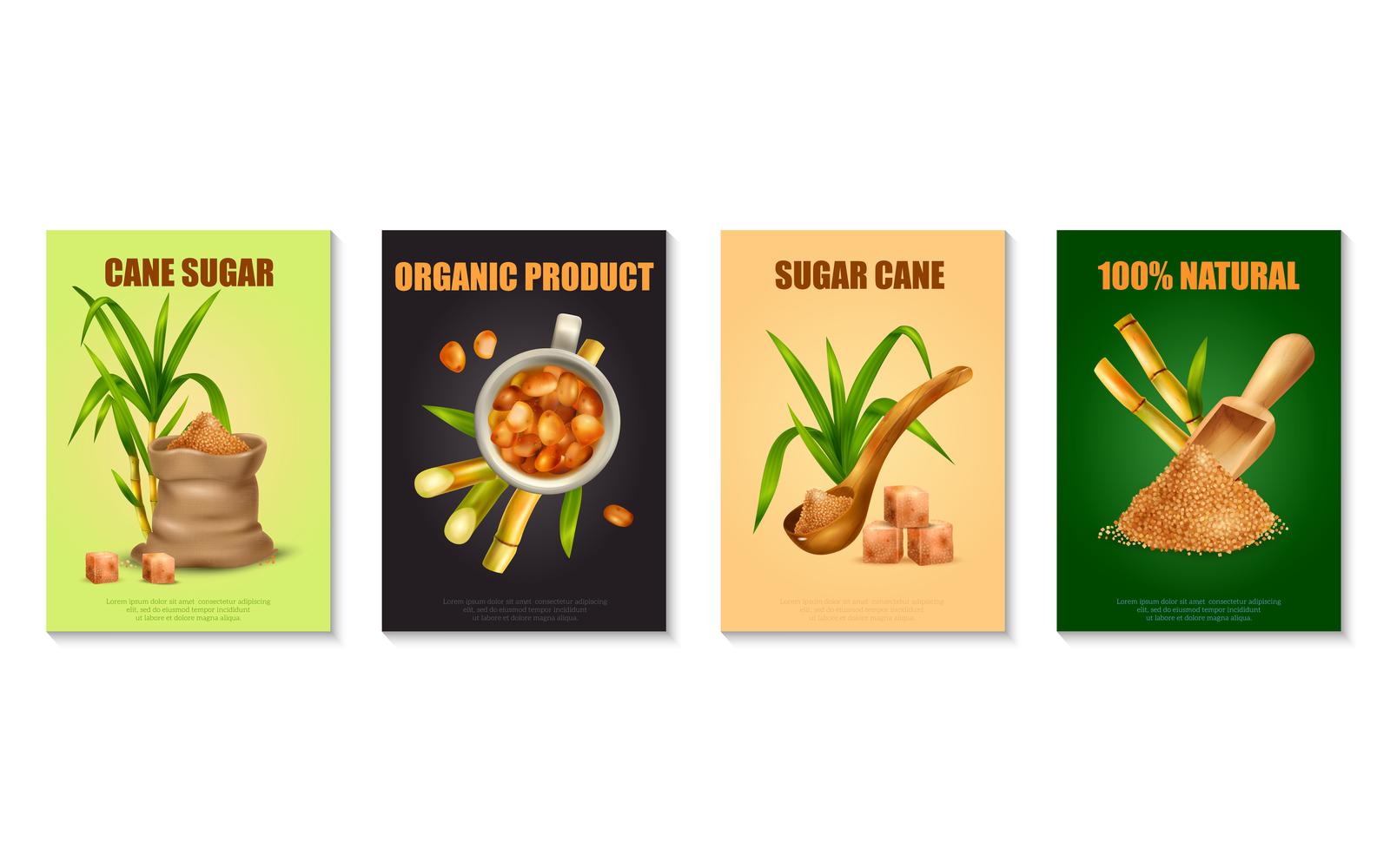 Realistic Sugar Cane Poster Set Vector Illustration Concept