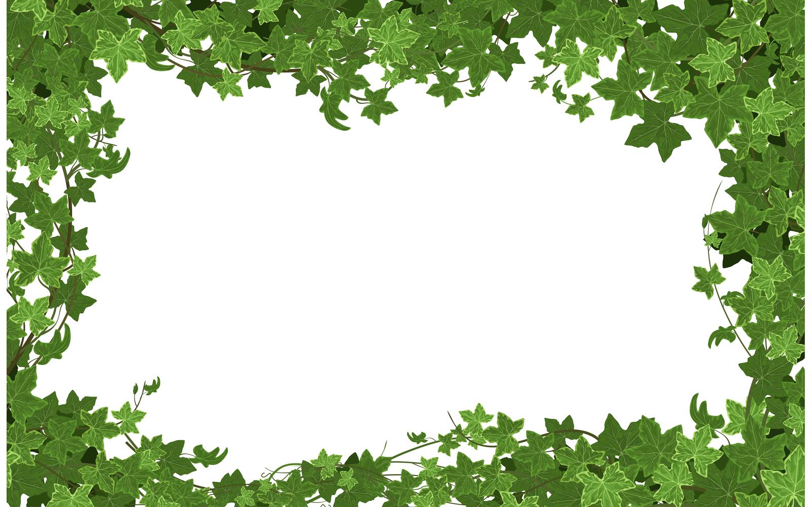 Ivy Climbing Plant Frame Vector Illustration Concept