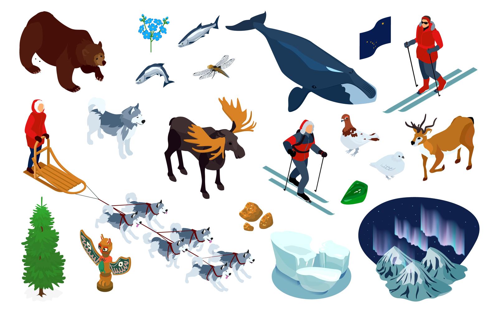 Isometric Alaska Set Vector Illustration Concept