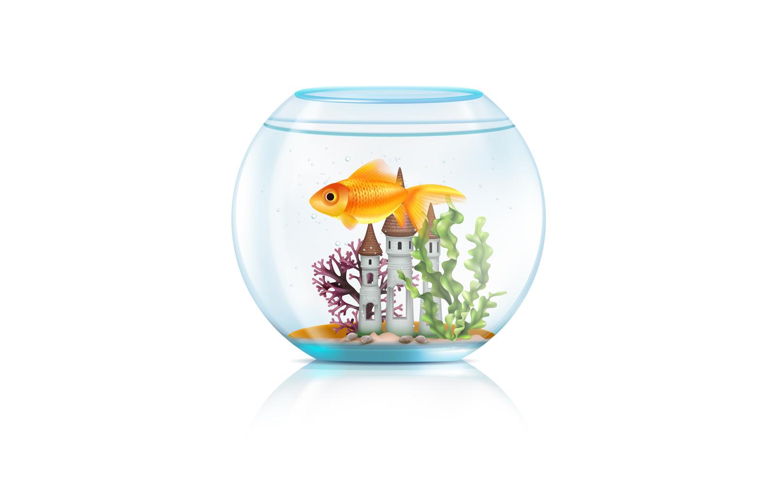 Aquarium Fish Equipment Realistic Composition 2 Vector Illustration Concept