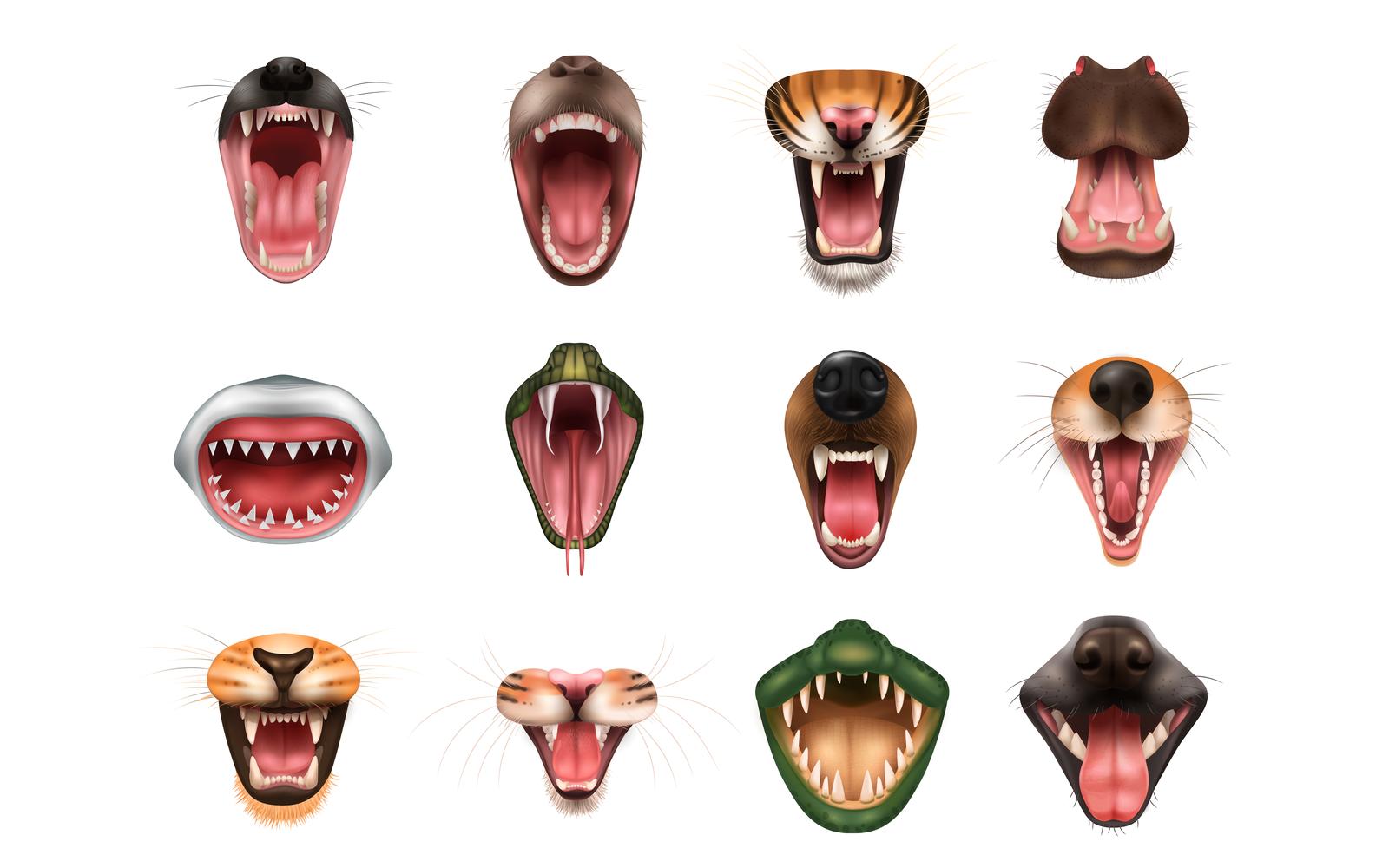 Realistic Animal Open Mouth Set Vector Illustration Concept