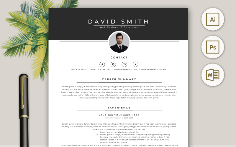 Professional Resume CV Template Design Vol 3