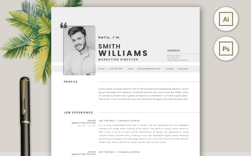 Professional Resume CV Template Design Vol 14