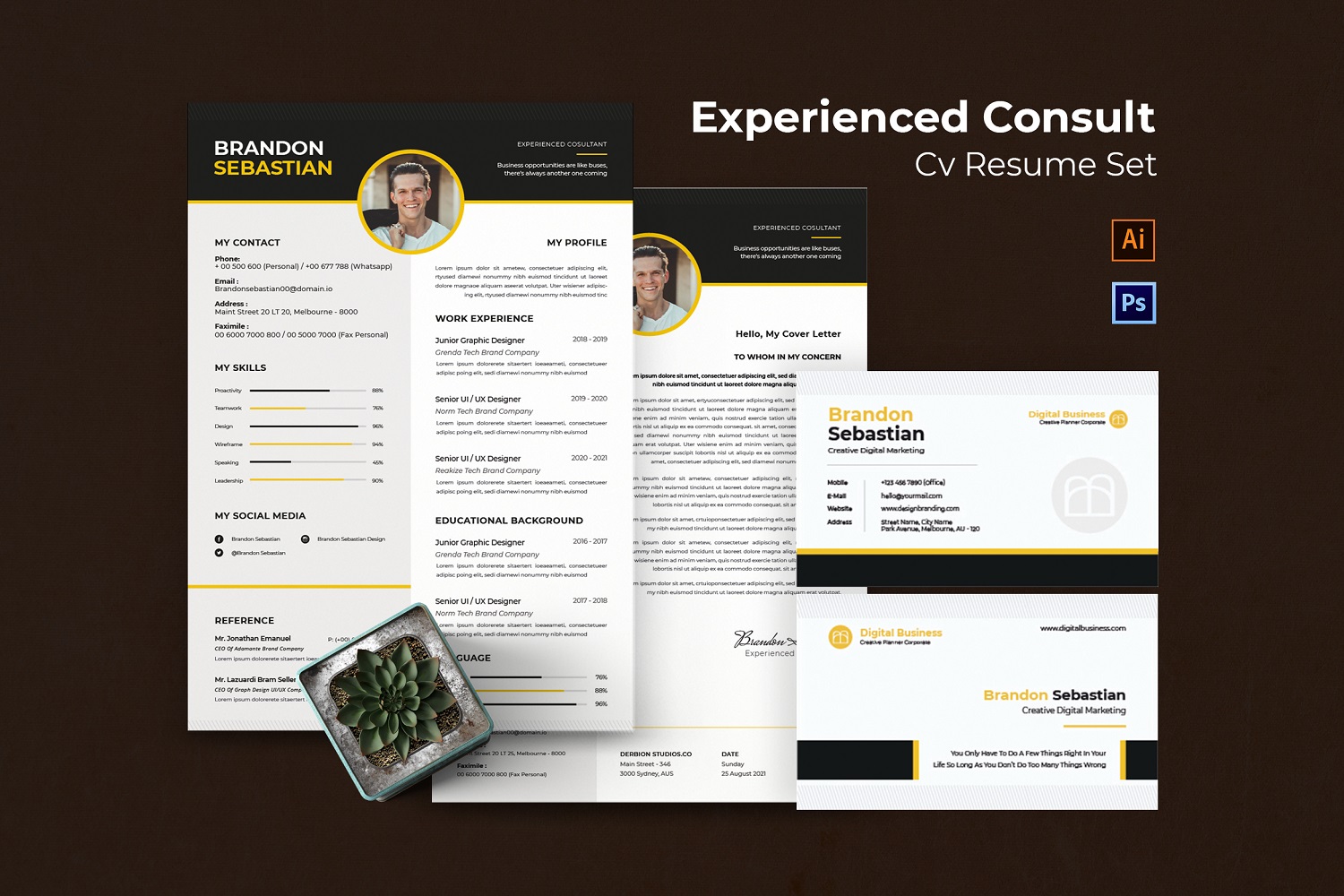 Experienced Consultant CV Resume