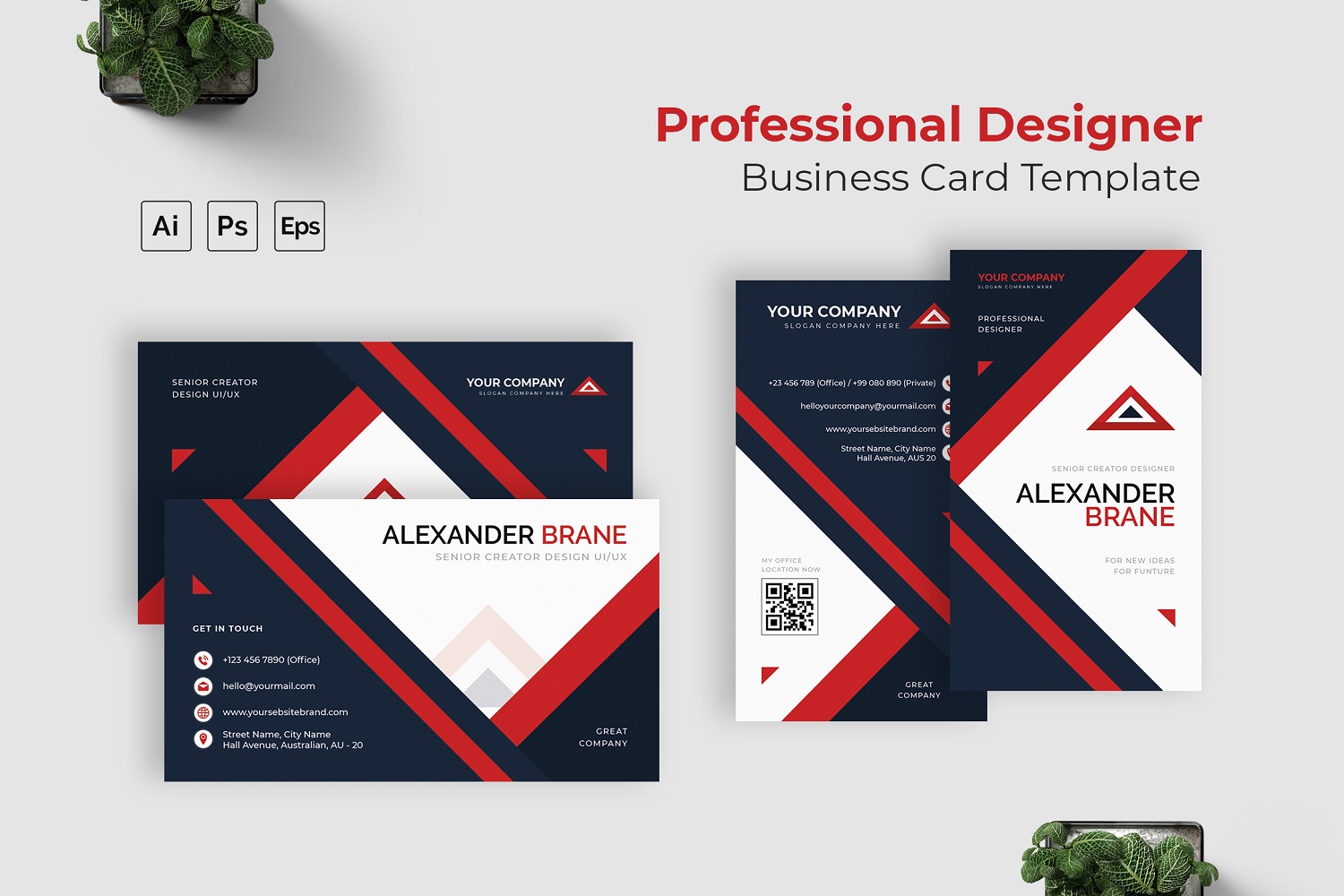 Professional Designer Business Card