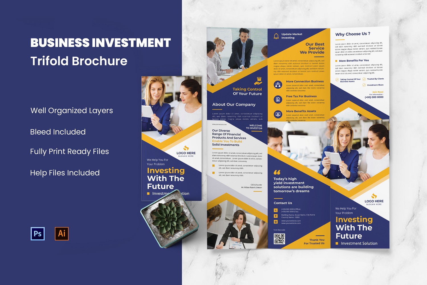 Business Investment Flyer Trifold