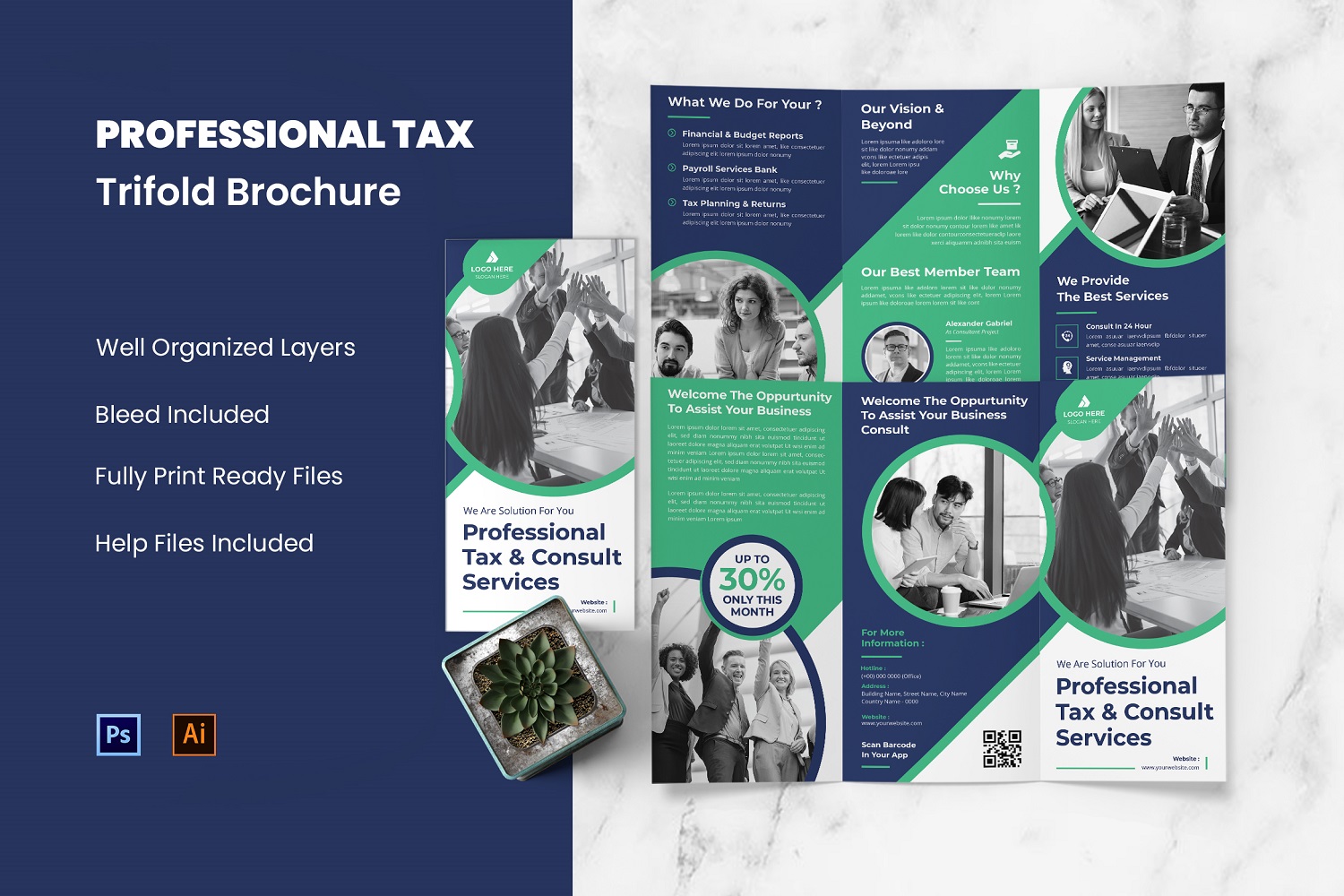 Professional Tax Flyer Trifold