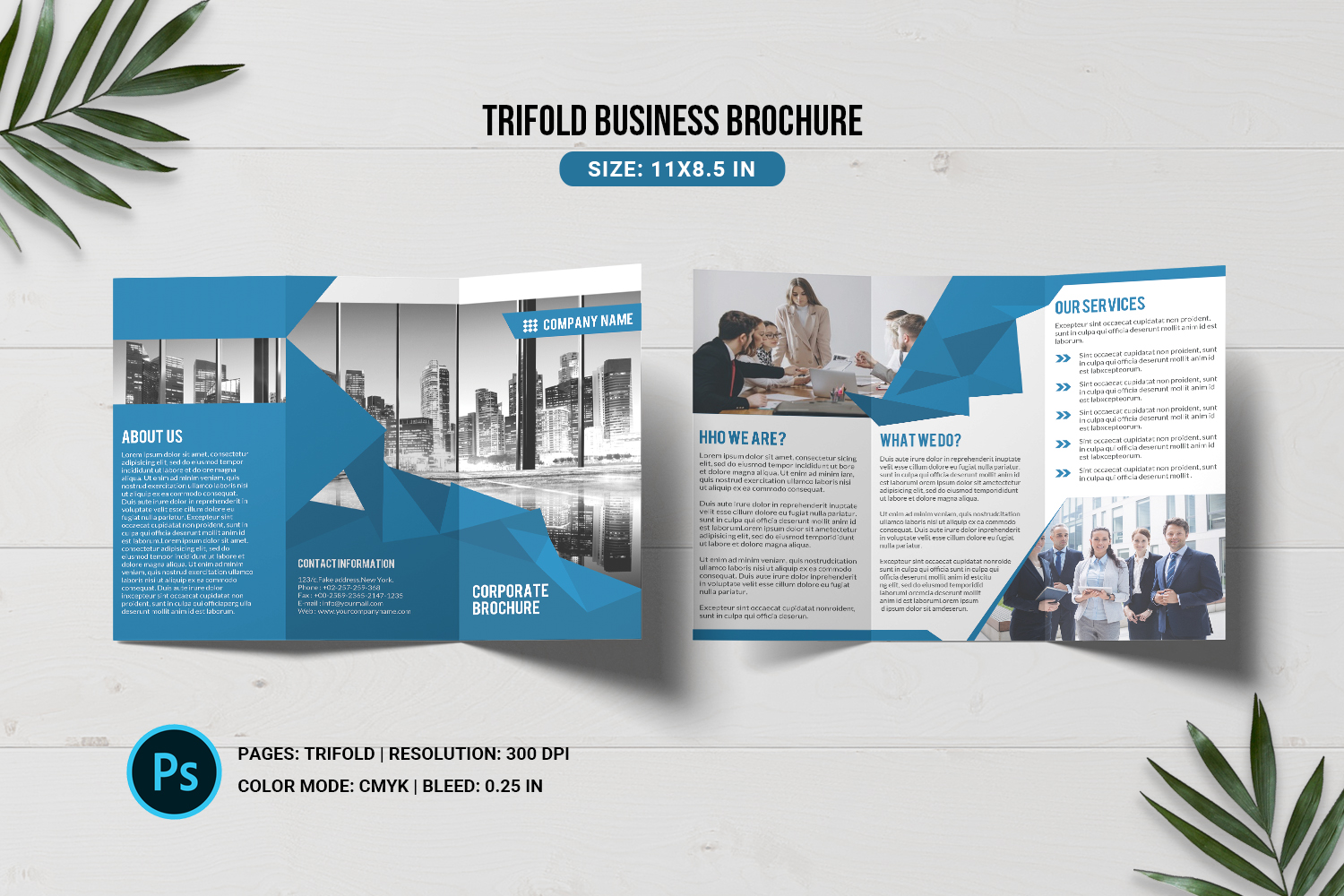Business Trifold Brochure Corporate Identity Template