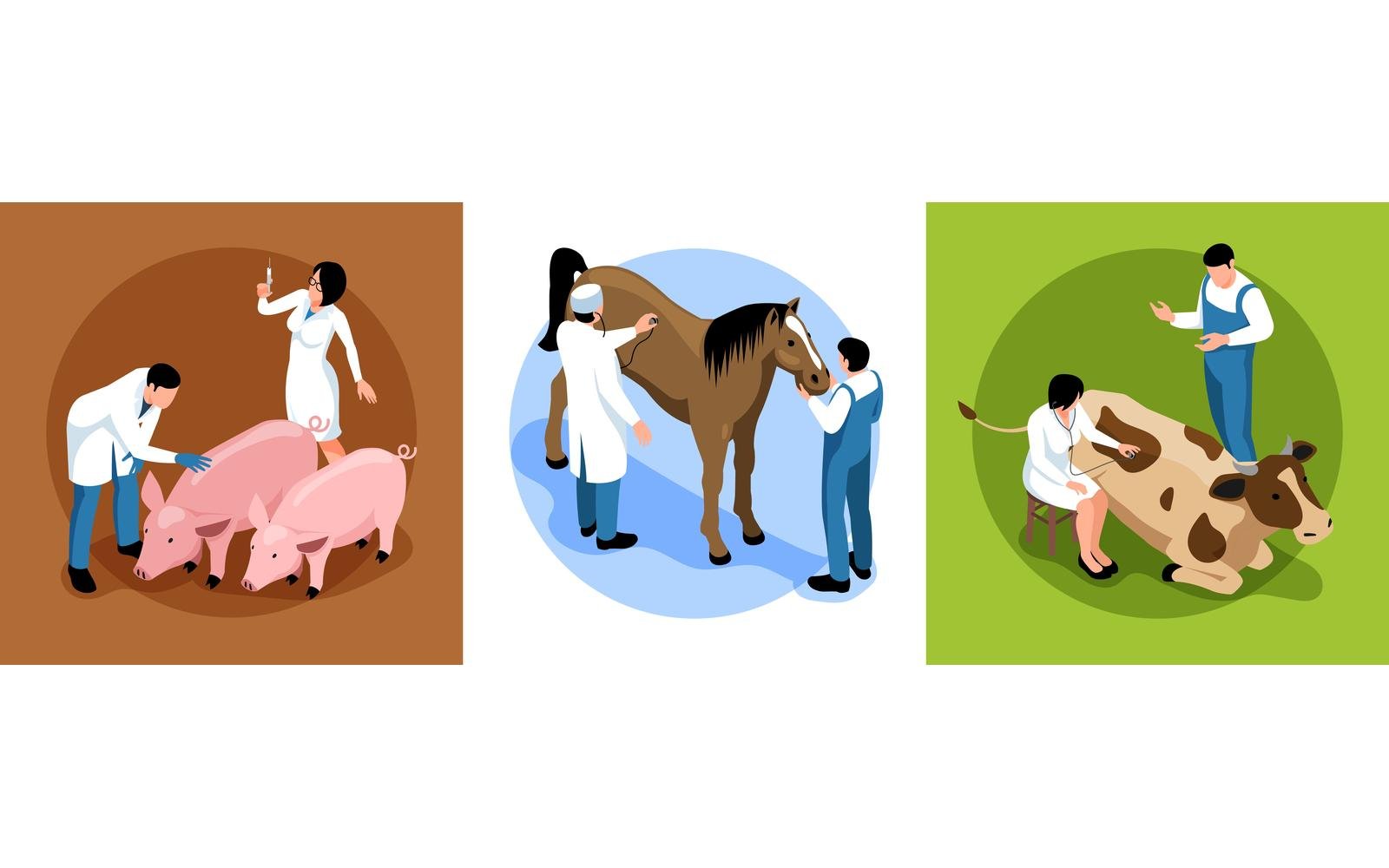 Isometric Veterinary Design Concept 210110516 Vector Illustration Concept