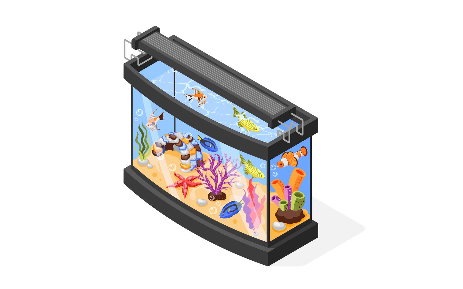 Aquarium Isometric Composition 210230112 Vector Illustration Concept