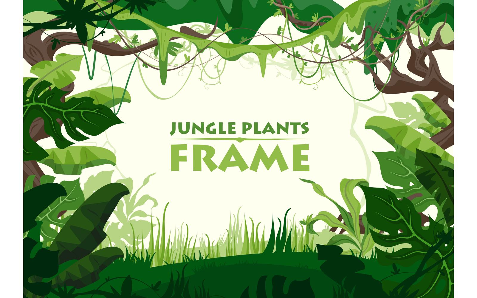 Jungle Plants Frame 210351810 Vector Illustration Concept