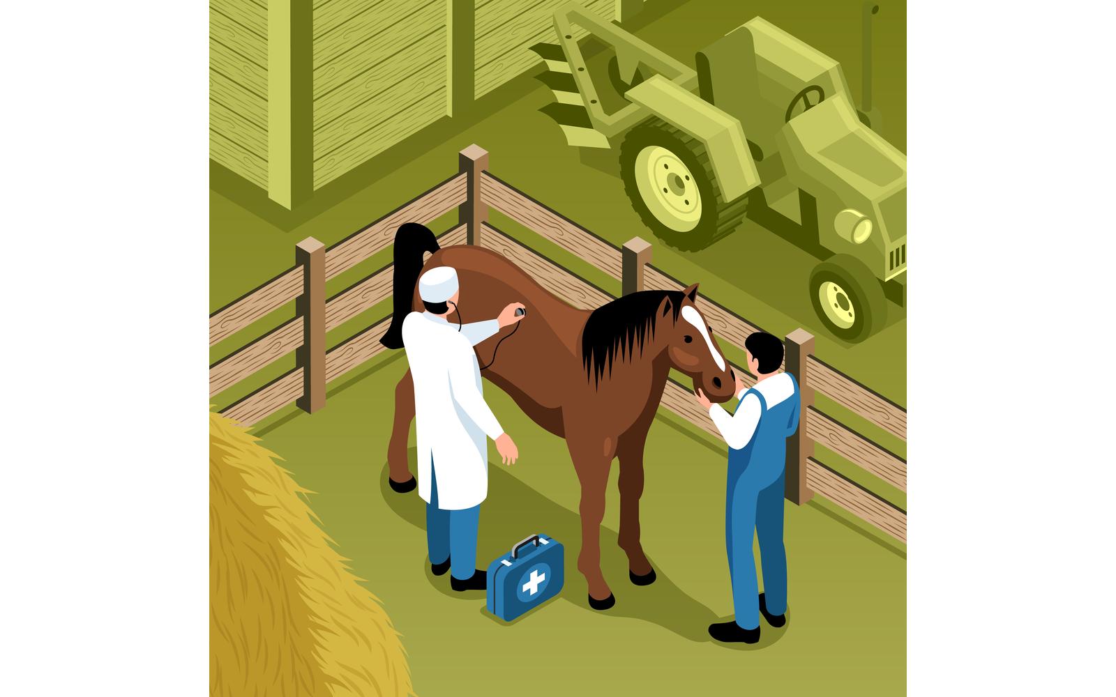 Isometric Veterinary Illustration 210110511 Vector Illustration Concept