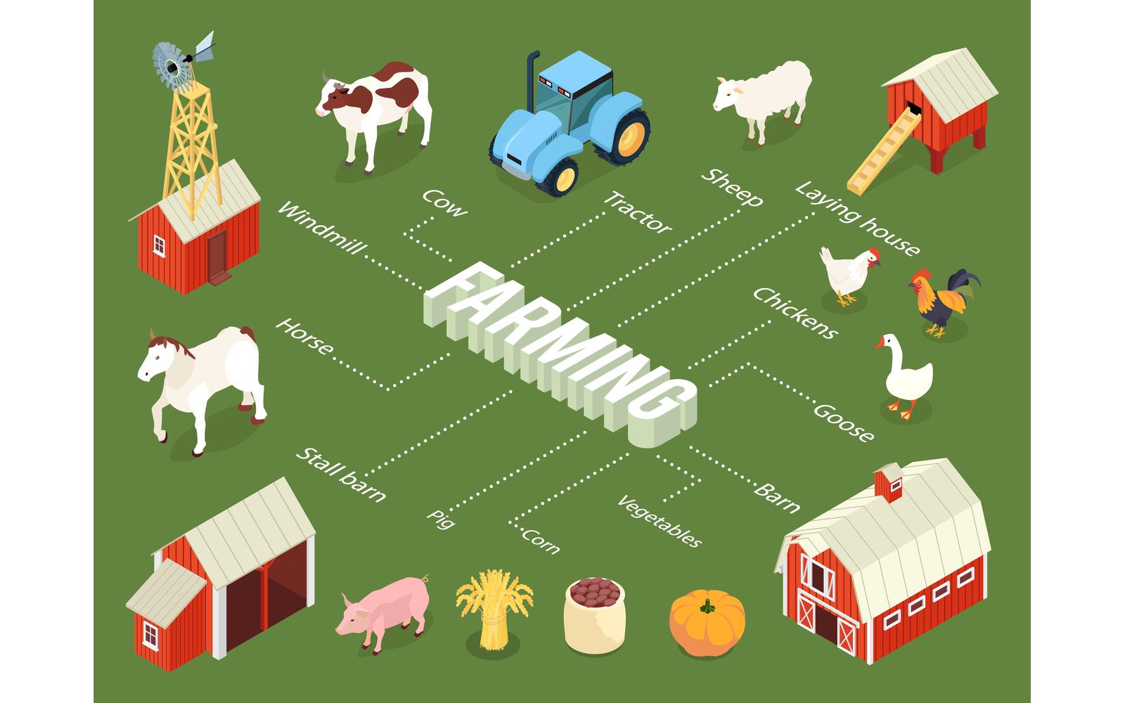 Isometric Farm Flowchart 210403205 Vector Illustration Concept