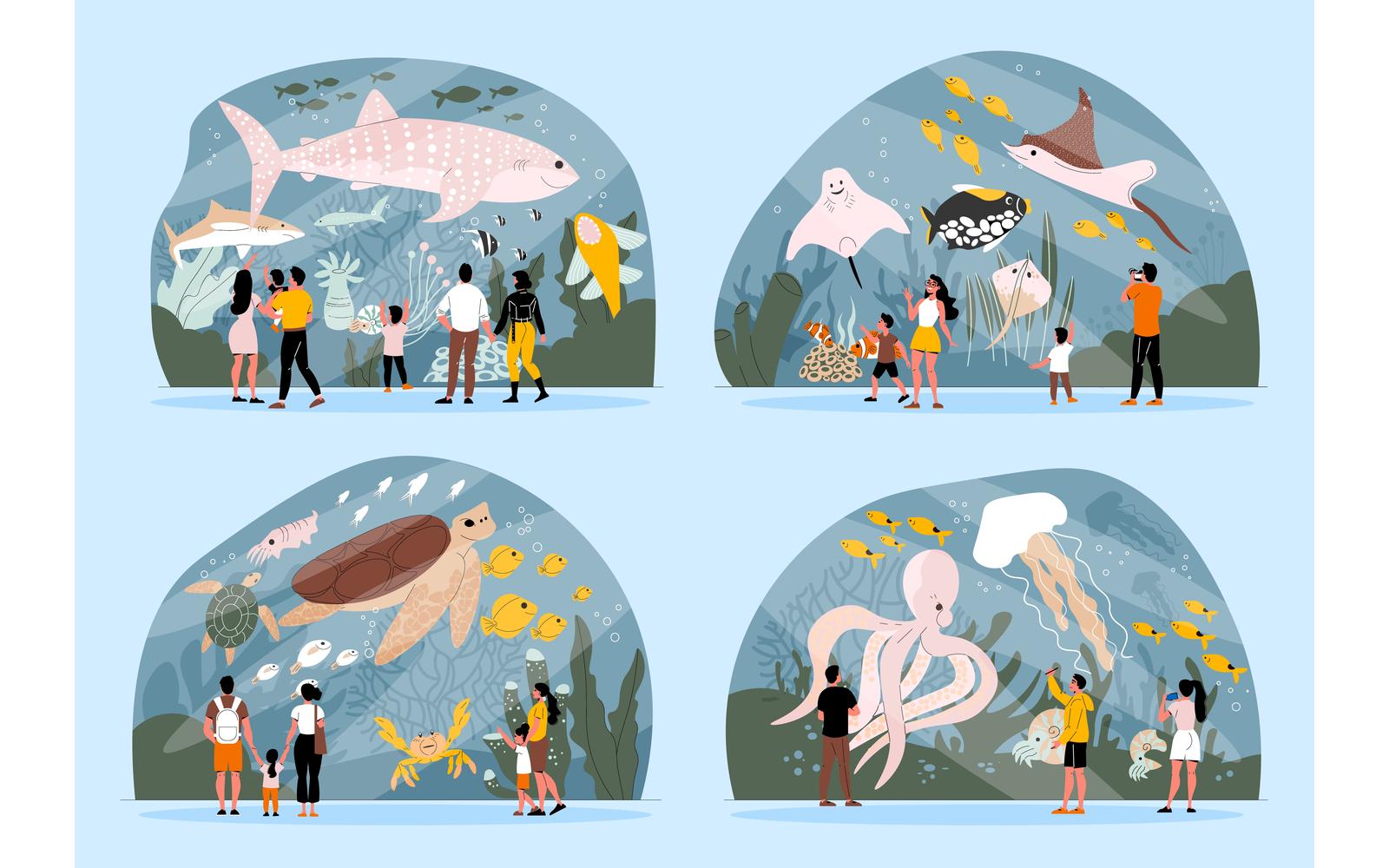 Aquarium Set 210360532 Vector Illustration Concept