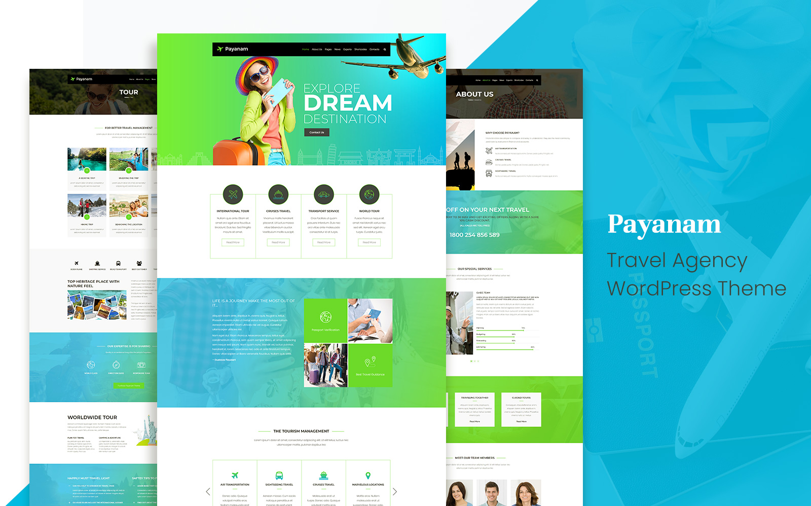 WordPress Themes